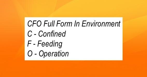 CFO Full Form In Environment