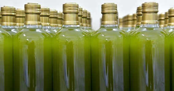 Genuine Extra Virgin Texas Olive Oil vs. Fake EVOO