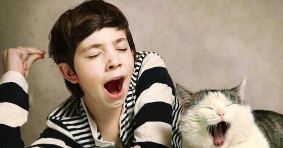Why Is Yawn Considered Contagious ?