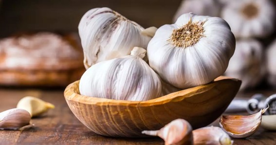 Role of garlic in men’s health