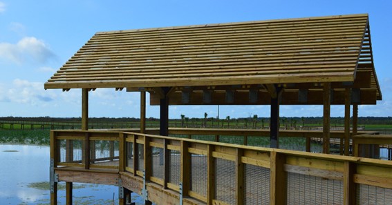 Visit The Sweetwater Wetlands Park